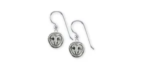 Barn Owl Earrings Jewelry Sterling Silver Handmade Owl Earrings OW1XH-FW