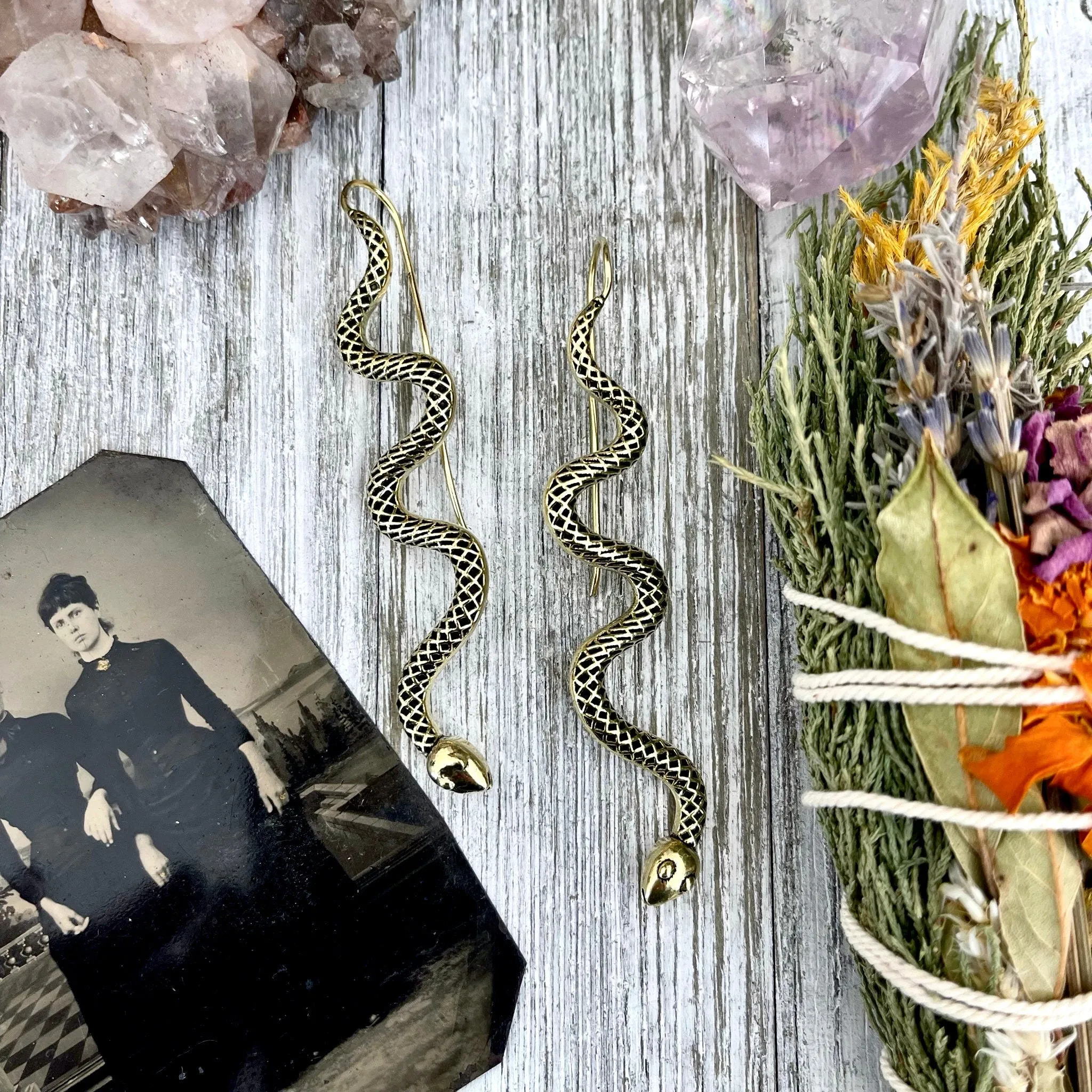 Long Large Brass Serpent / Snake Earrings